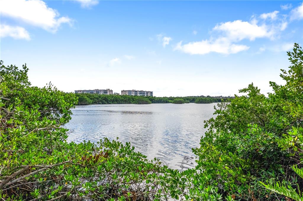 9992 Key Haven Road Seminole, FL 33777 - Photo 43 of 49 a view of a lake from a yard