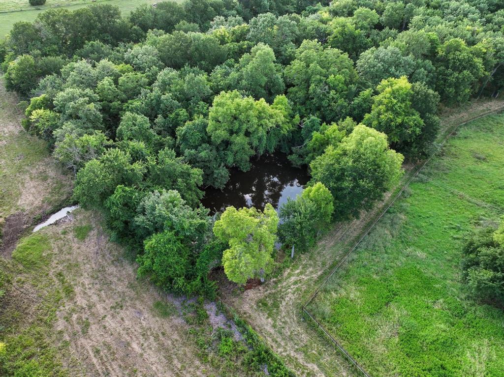 16900 County Road 706 Blue Ridge, TX 75424 - Photo 30 of 36 Pond
