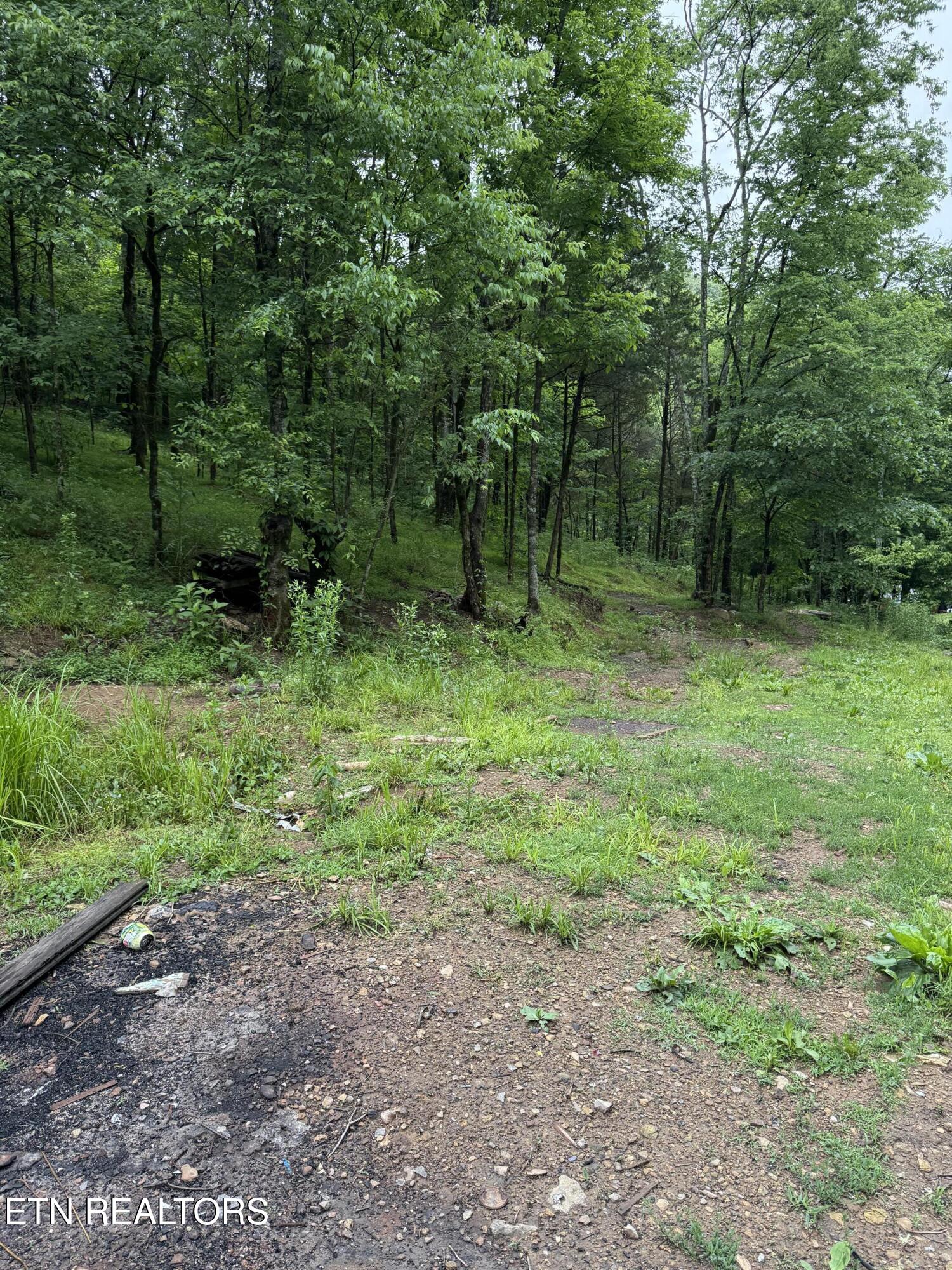 940 Riley Creek Road Whitleyville, TN 38588 - Photo 17 of 30 IMG_6447