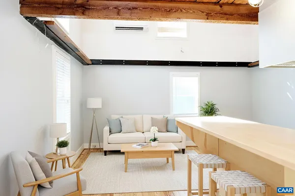 a living room with furniture and a potted plant