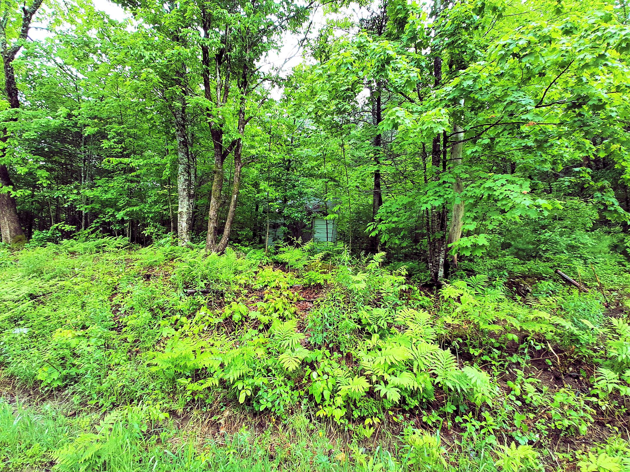 Lot # Lot#17-9 North Road Winn, ME 04495 - Photo 24 of 31 1 TBD North Road 1x