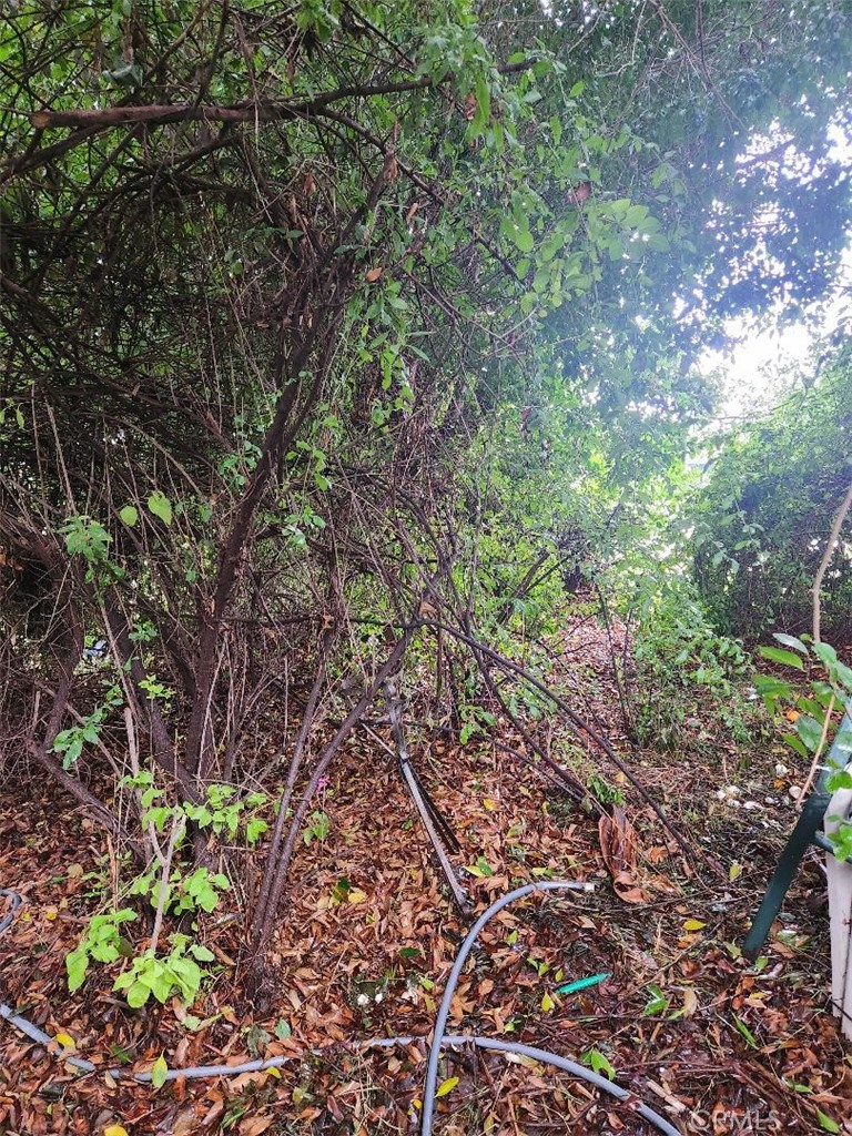 3297 Elmore Street Simi Valley, CA 93063 - Photo 4 of 22