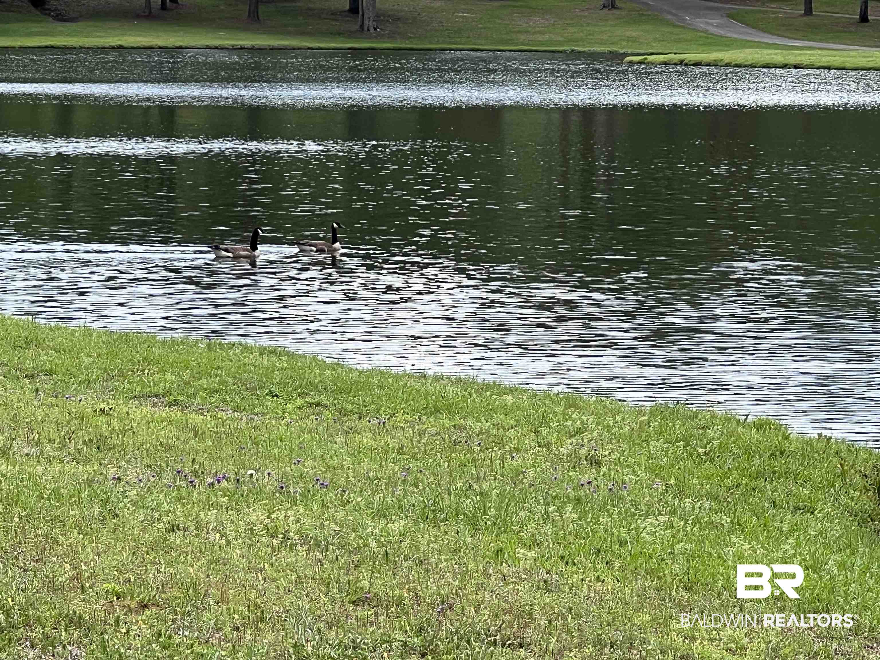 5100 Wiggins Lake Road Walnut Hill, FL 32568 - Photo 26 of 41
