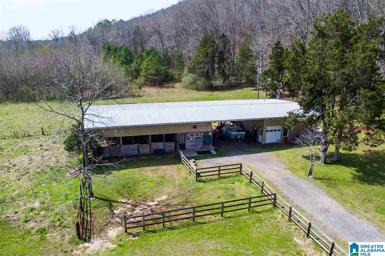 1701 Red Valley Road Remlap, AL 35133 - Photo 3 of 50