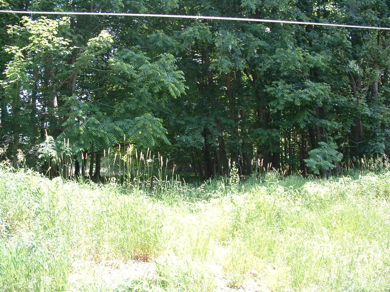 0 Clover Valley Road Northwest Johnstown, OH 43031 - Photo 5 of 16 DSCF0004