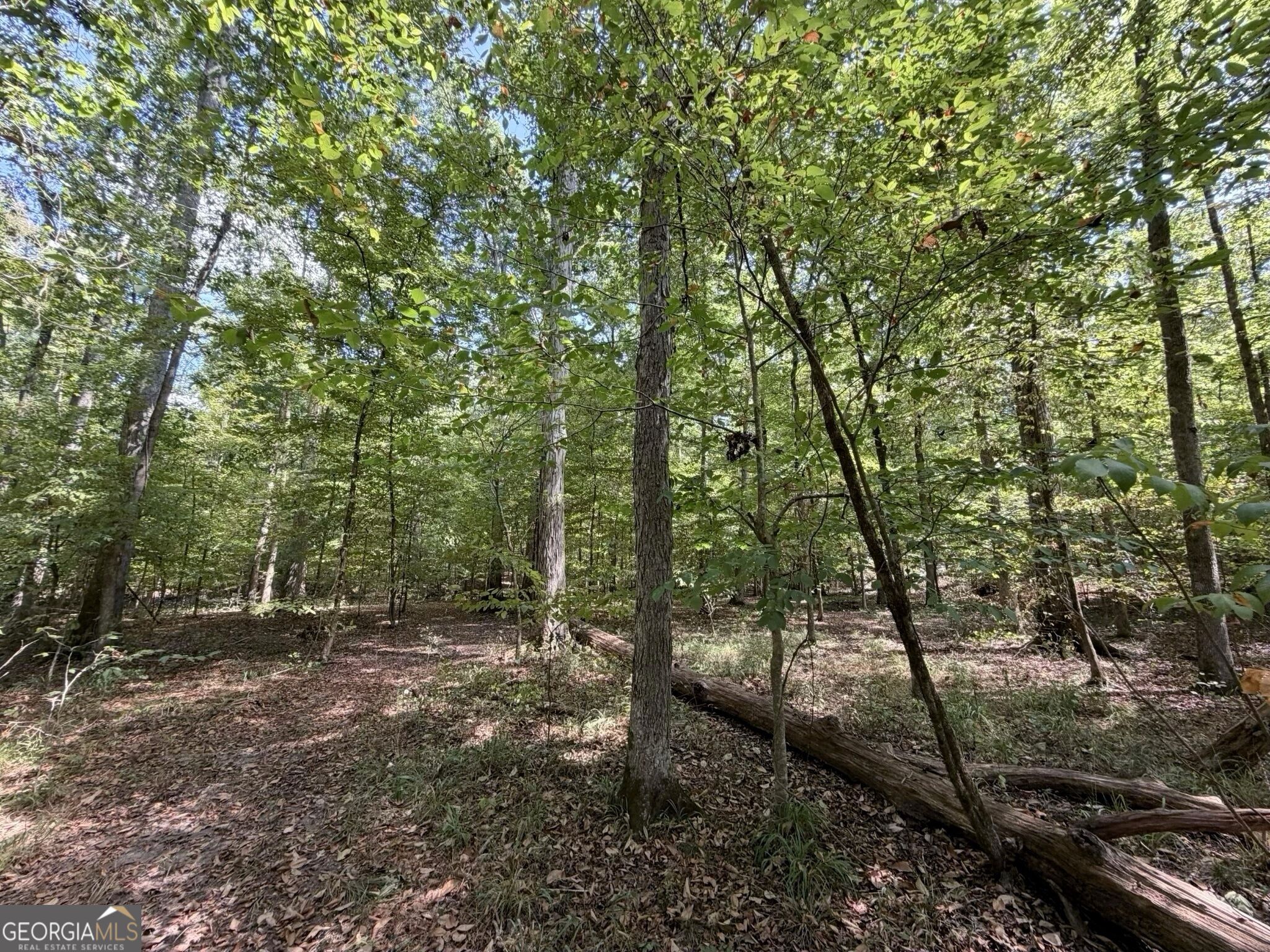 11 Bunch Road Tignall, GA 30668 - Photo 66 of 81 Gallery Image 66