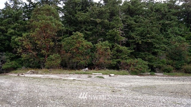 701 Griffith Point Road Nordland, WA 98358 - Photo 3 of 5 Gallery Image 3