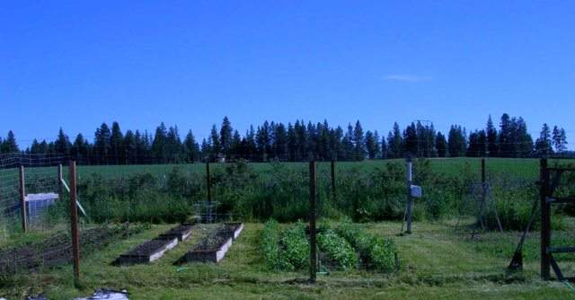 1617 West Wild Rose Road Colbert, WA 99005 - Photo 3 of 8