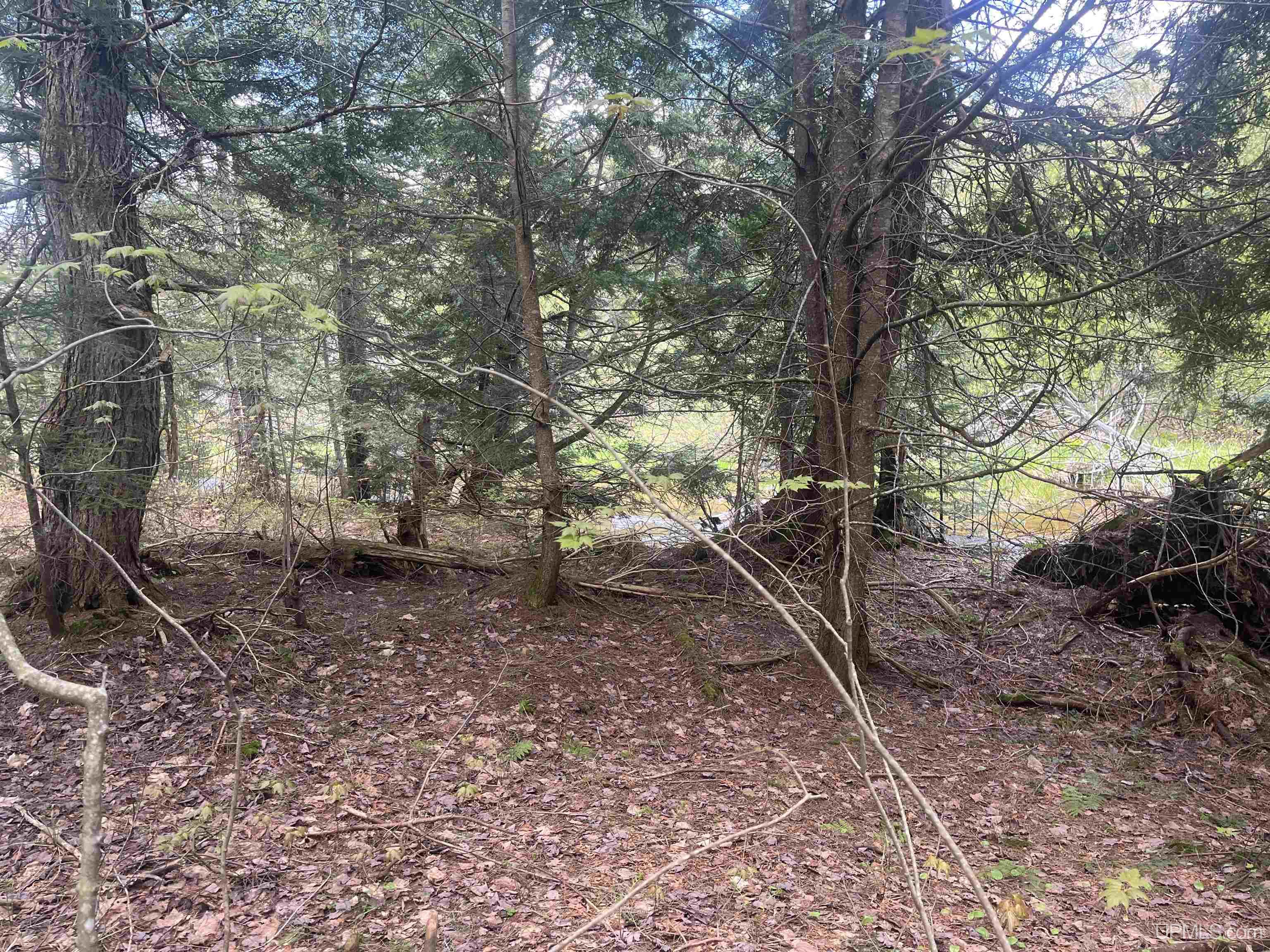 450 Rd Seney Mi 49883 Road Seney, MI 49883 - Photo 19 of 33