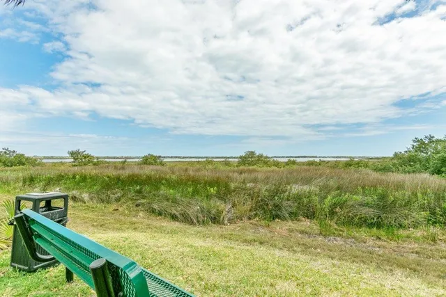 a view of a park with large trees
