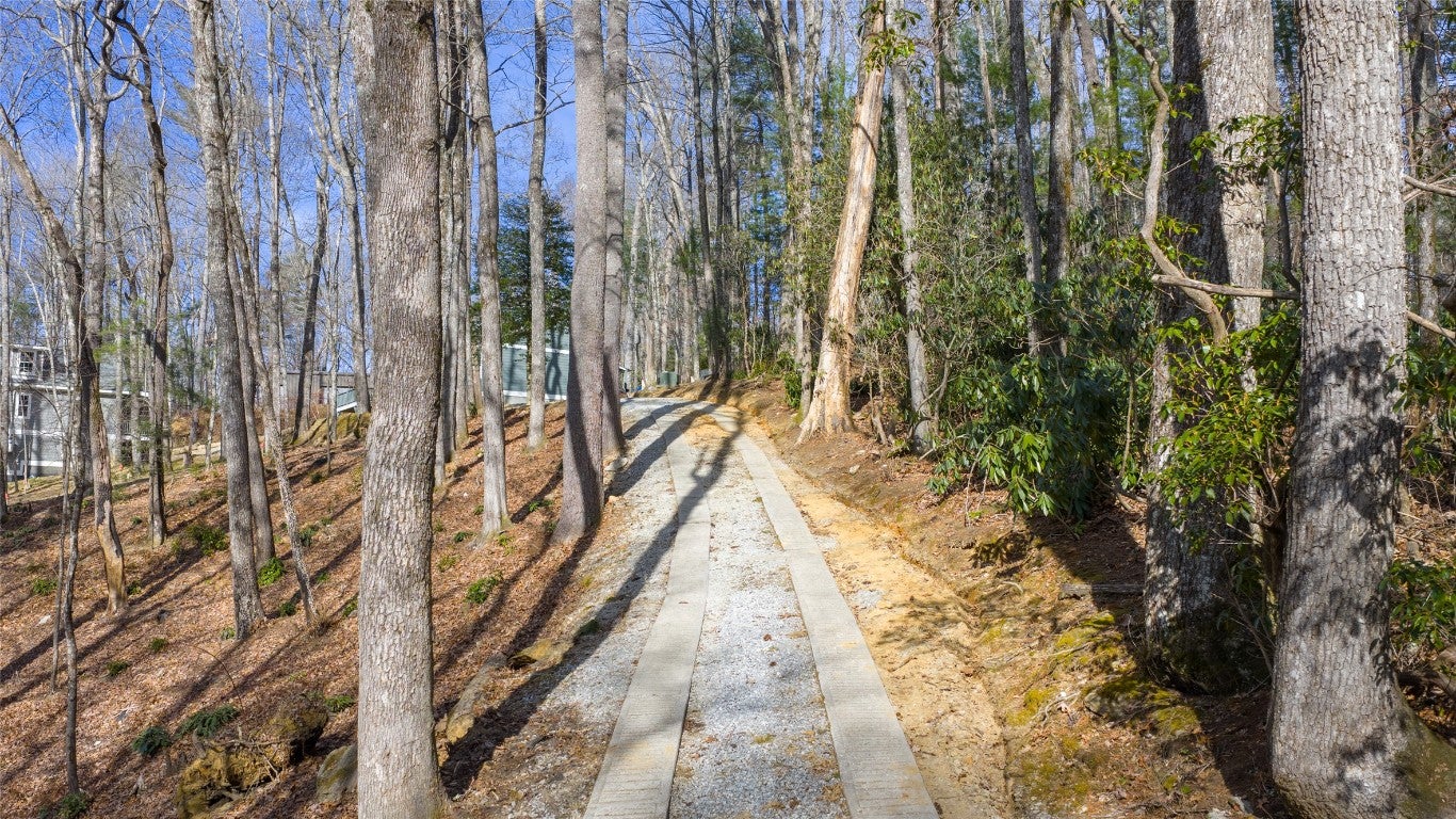 115 Spur Road Cashiers, NC 28717 - Photo 7 of 60 Driveway View
