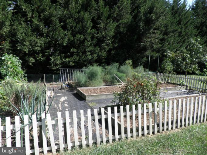 900 Clark Corner Road Centreville, MD 21617 - Photo 1 of 8 Raised Garden