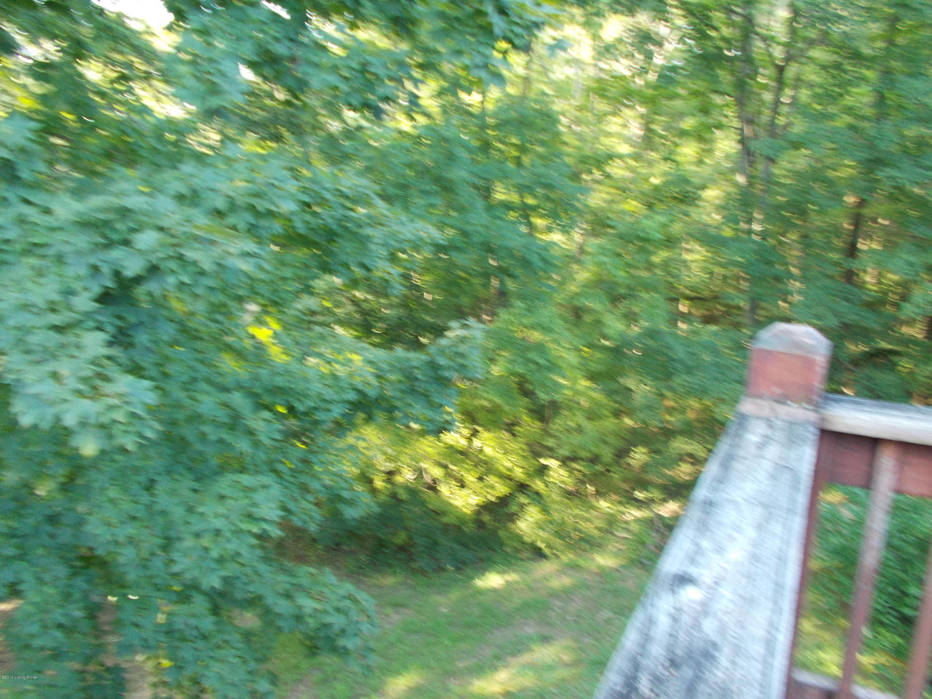 312 Cedar Point Road Mount Eden, KY 40046 - Photo 16 of 28 013