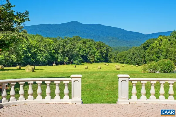 a view of a park with large trees