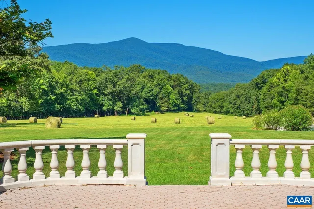 a view of a park with large trees