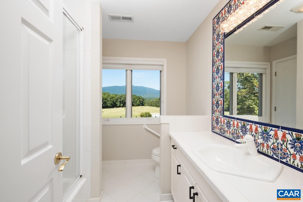 8540 Taylor Creek Road Afton, VA 22920 - Photo 51 of 71 a bathroom with a bathtub and a sink