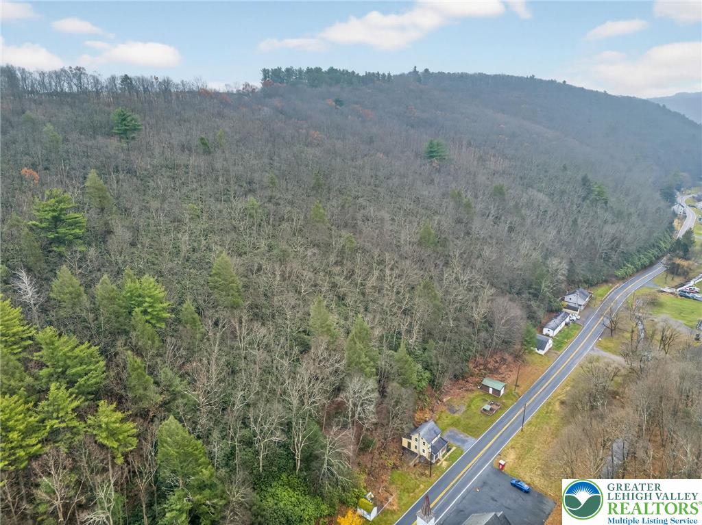 2205 Long Run Road Lehighton, PA 18235 - Photo 26 of 32 a view of a field with a mountain in the background