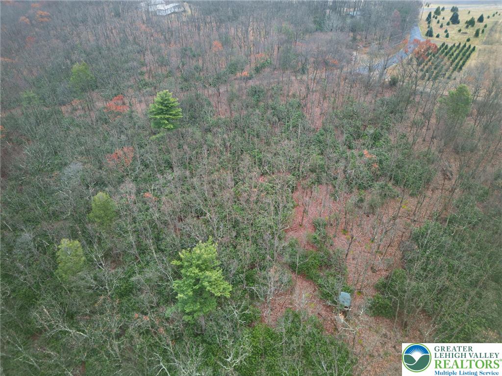 2205 Long Run Road Lehighton, PA 18235 - Photo 27 of 32 a view of a dry yard with large trees