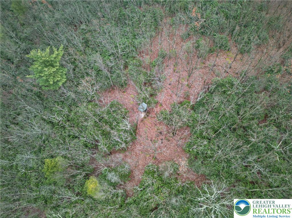 2205 Long Run Road Lehighton, PA 18235 - Photo 28 of 32 a view of a dry yard with lots of trees