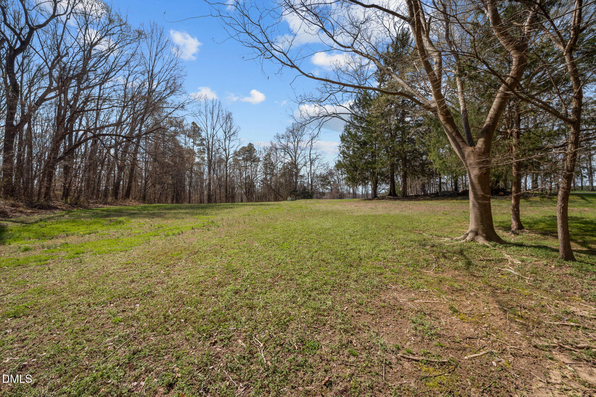 0 Boulder Court Roxboro, NC 27574 - Photo 6 of 6 13-web-or-mls-P1110389