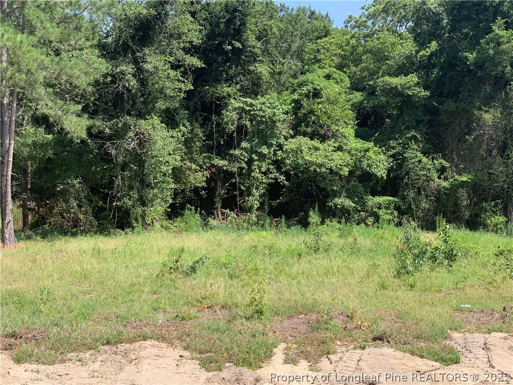 775 Montrose Road Raeford, NC 28376 - Photo 15 of 15 a view of a garden