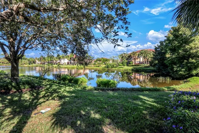 a view of a lake with a large trees