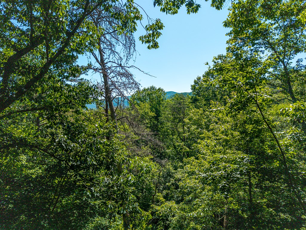 775 Mountain Oak Road Ellijay, GA 30536 - Photo 60 of 106