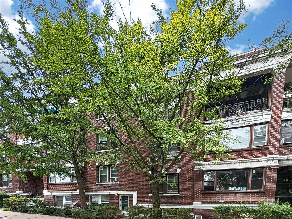 24 Chiswick Road, Unit 24A1 Boston, MA 02135 - Photo 1 of 12 Gallery Image 1
