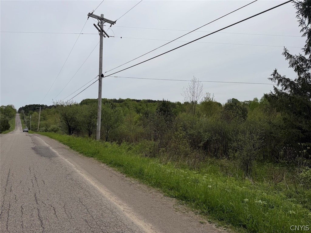Reynolds Road Franklinville, NY 14737 - Photo 37 of 38