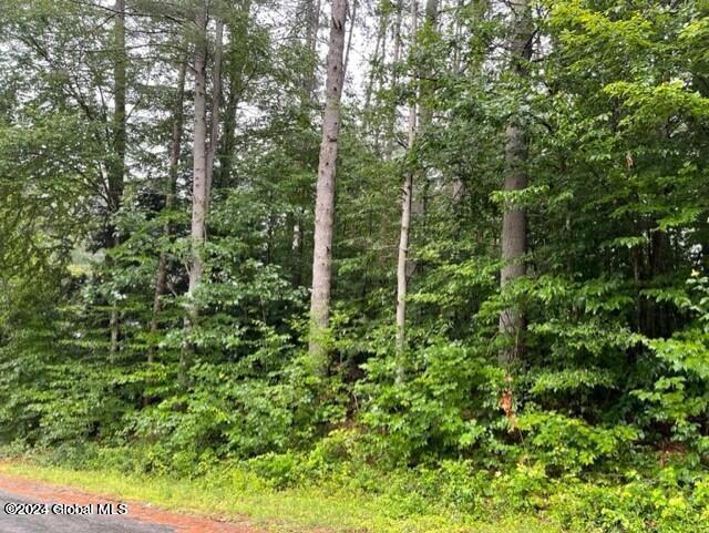 L104 Mountain Road Hadley, NY 12835 - Photo 1 of 4 20230807150006022465000000-o