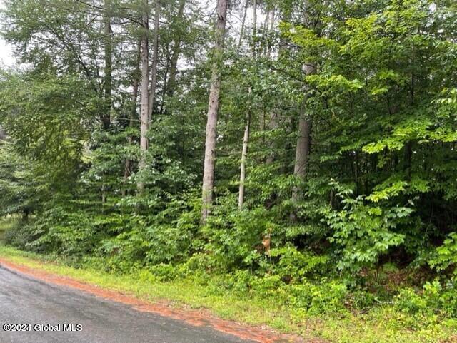 L104 Mountain Road Hadley, NY 12835 - Photo 4 of 4 20230807150007232663000000-o