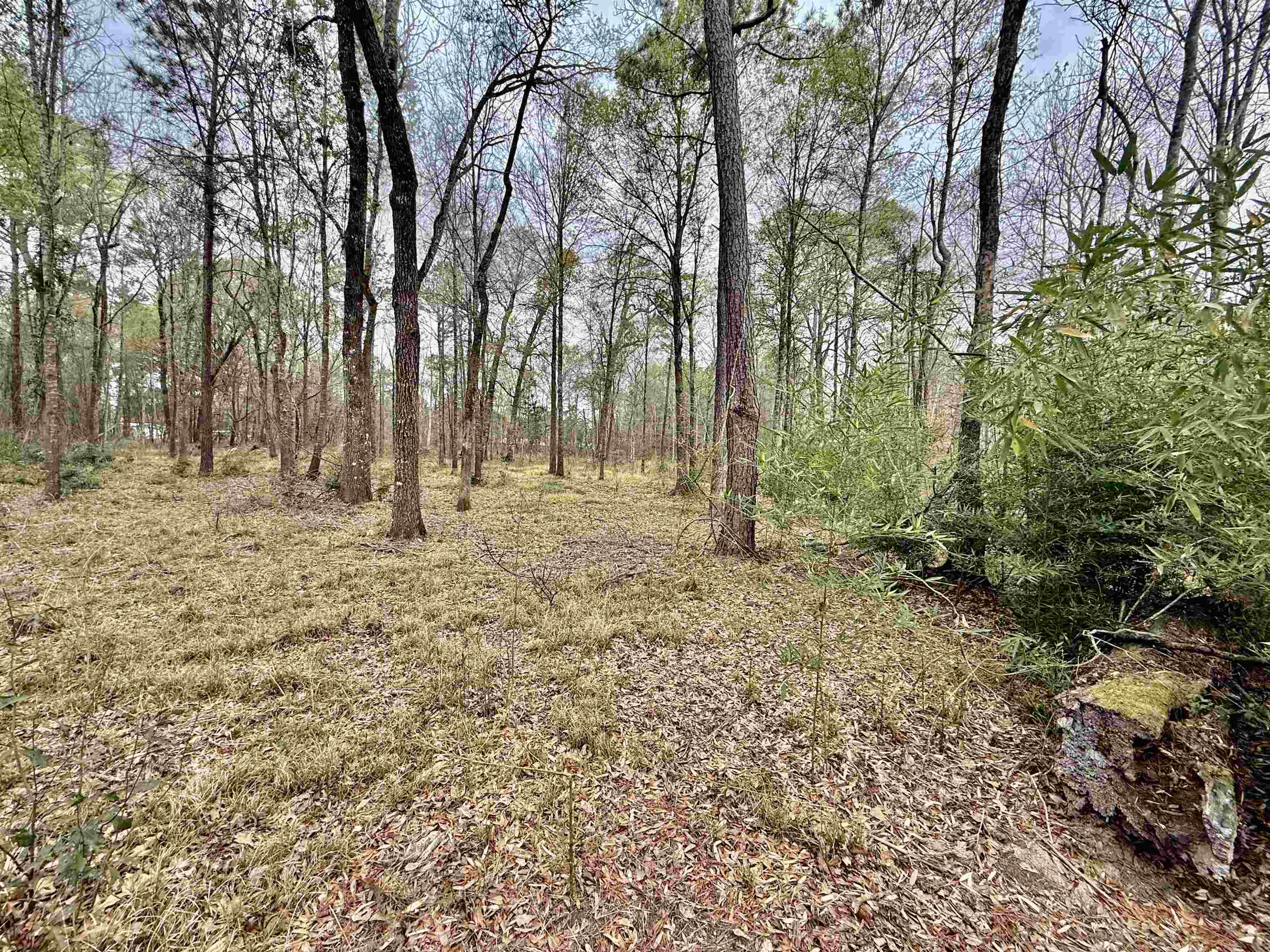 325 Jennings Road Vidor, TX 77662 - Photo 3 of 9