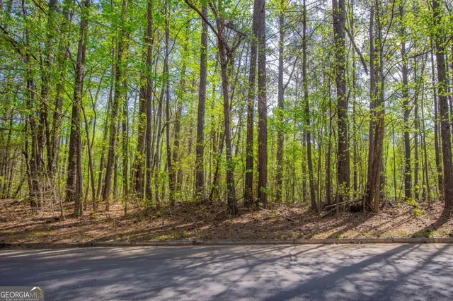 $24,900 | 0 Lake Esther Drive, Unit LOT 2, Fairburn, GA 30213