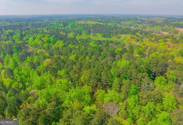 $24,900 | 0 Lake Esther Drive, Unit LOT 2, Fairburn, GA 30213