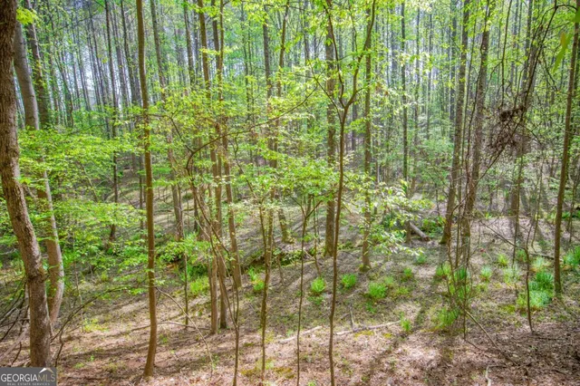 a view of outdoor space and garden