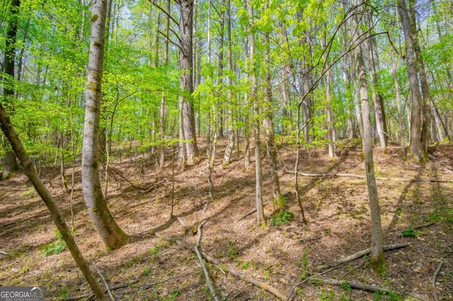 a view of a lake with a field