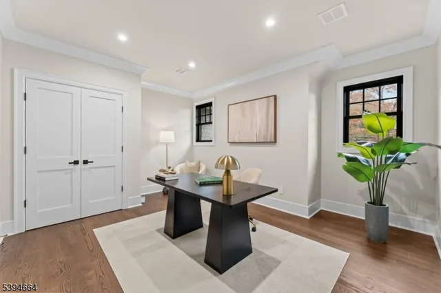 a living room with furniture a potted plant and wooden floor