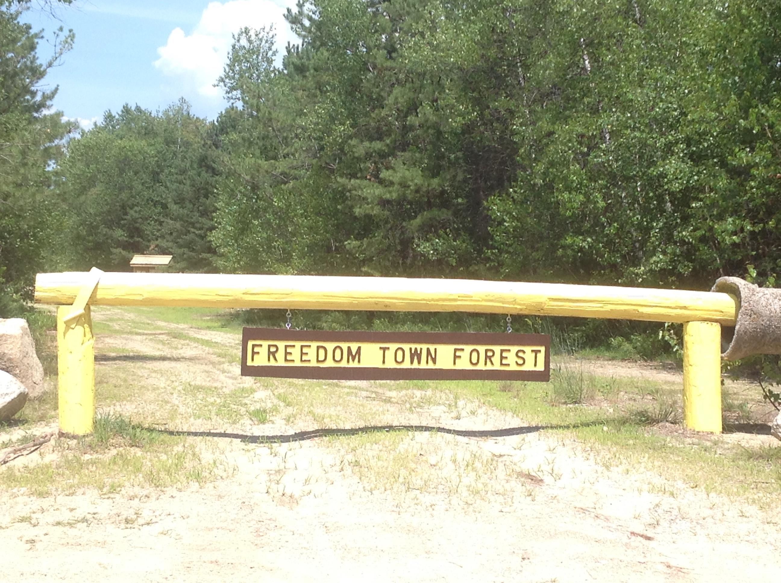 13 Mohegan Run Lane, Unit 79 Freedom, NH 03836 - Photo 44 of 50