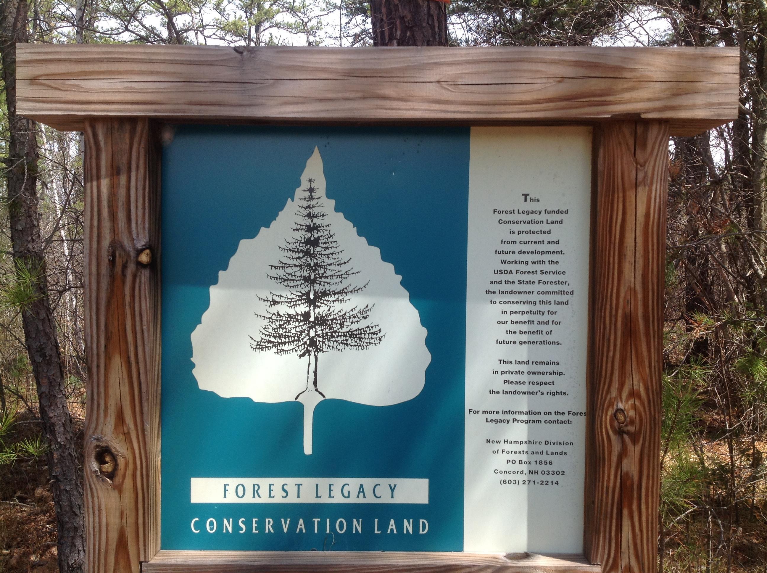 13 Mohegan Run Lane, Unit 79 Freedom, NH 03836 - Photo 45 of 50