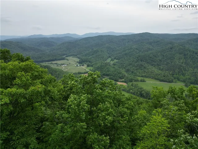 a view of a lush green field with a mountain in the background