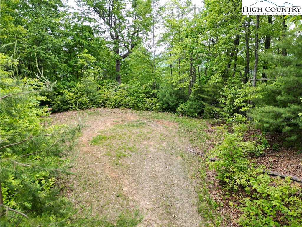 75 Rodeo Road Ferguson, NC 28624 - Photo 5 of 14 a view of backyard with green space