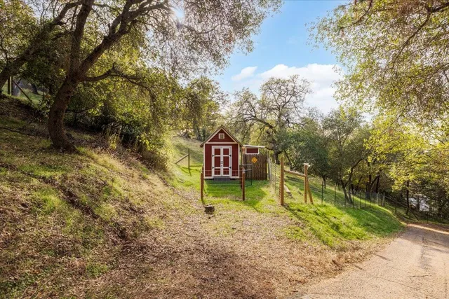 a view of a backyard with wooden fence