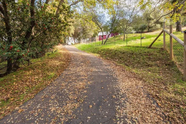 a view of backyard with trees