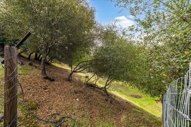 a view of a backyard