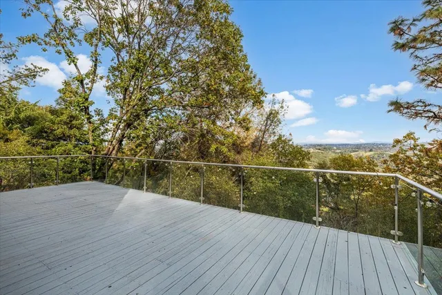 a view of a tree in a yard