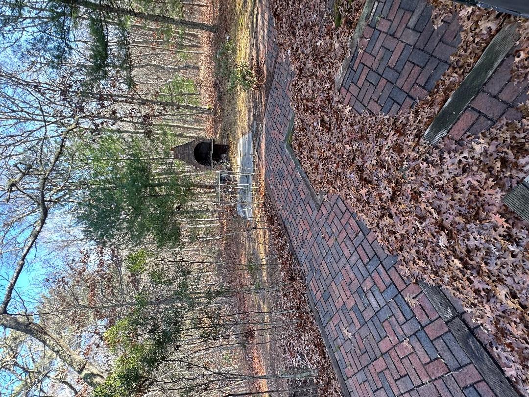 20 Brook Hollow Road West Tisbury, MA 02568 - Photo 26 of 33 a backyard of a house with lots of green space