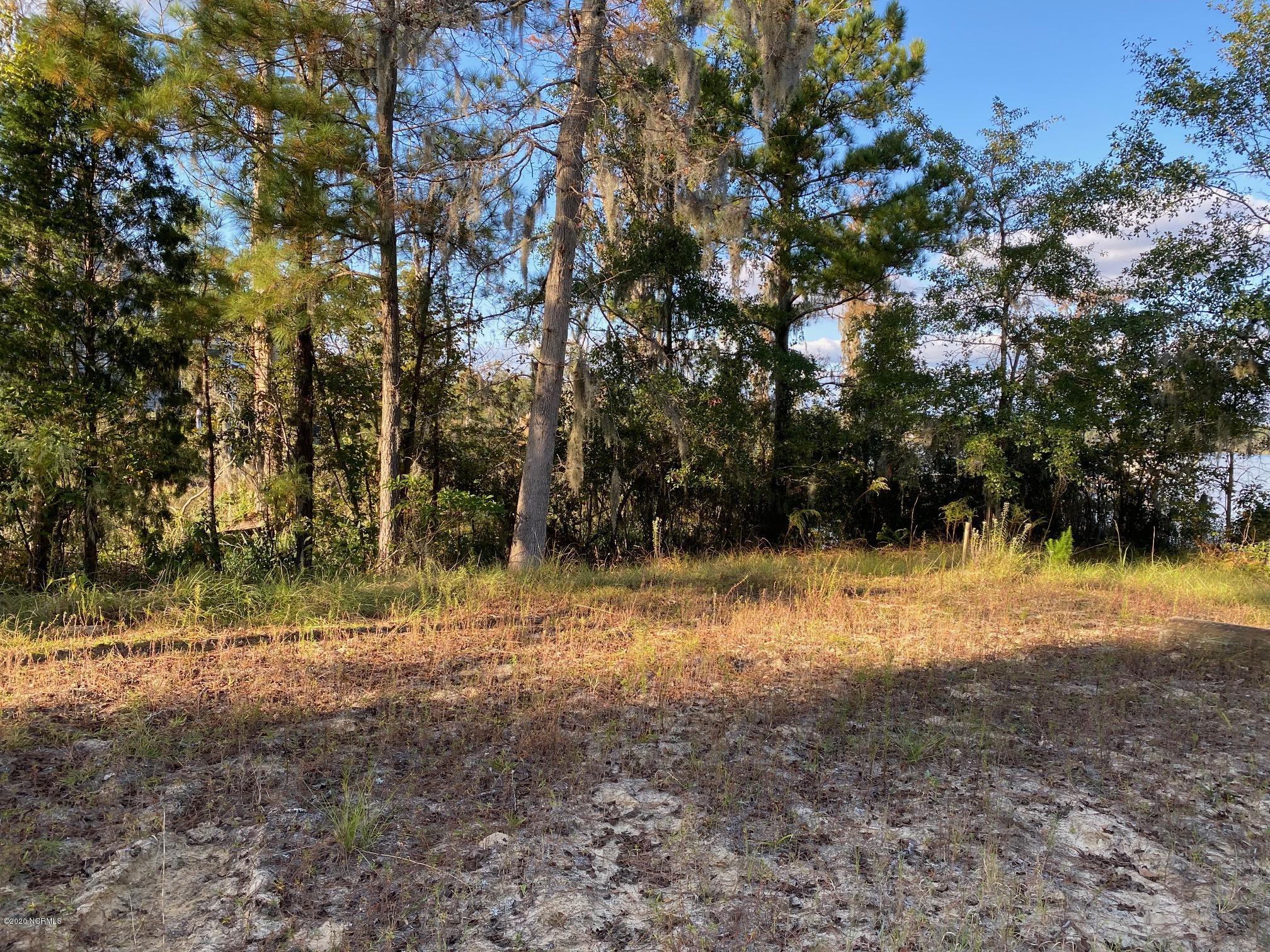 Lot 18 Bay Point Road Chocowinity, NC 27817 - Photo 11 of 12 IMG_0832 (1)