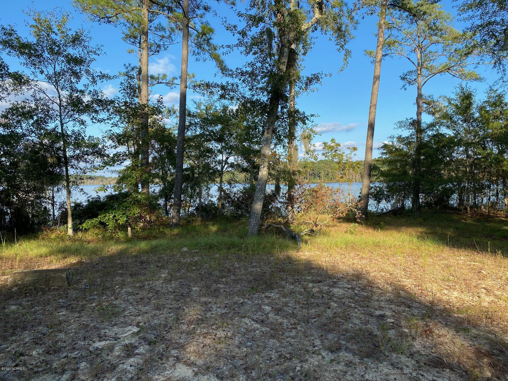 Lot 18 Bay Point Road Chocowinity, NC 27817 - Photo 7 of 12 IMG_0829