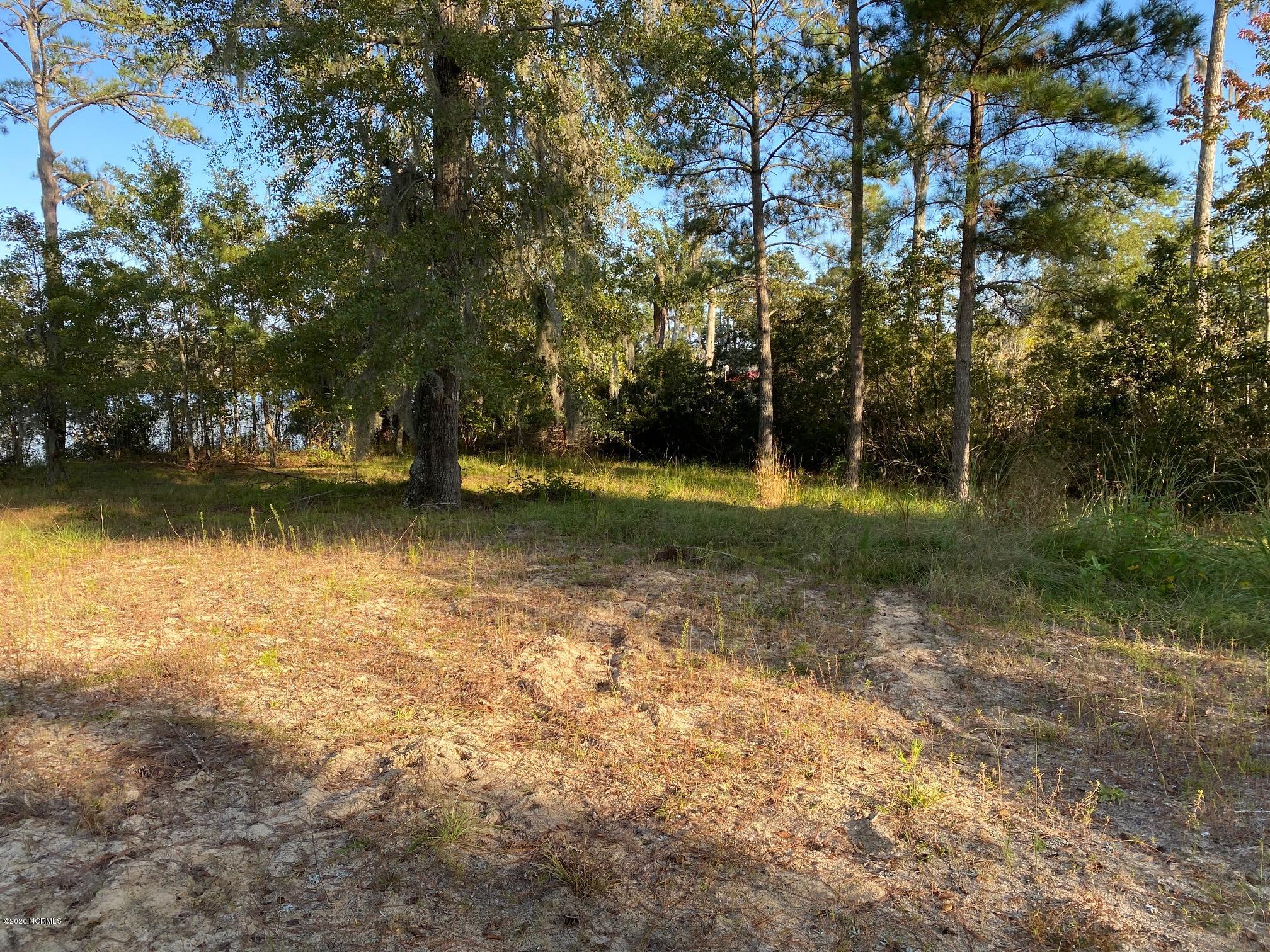 Lot 18 Bay Point Road Chocowinity, NC 27817 - Photo 10 of 12 IMG_0831