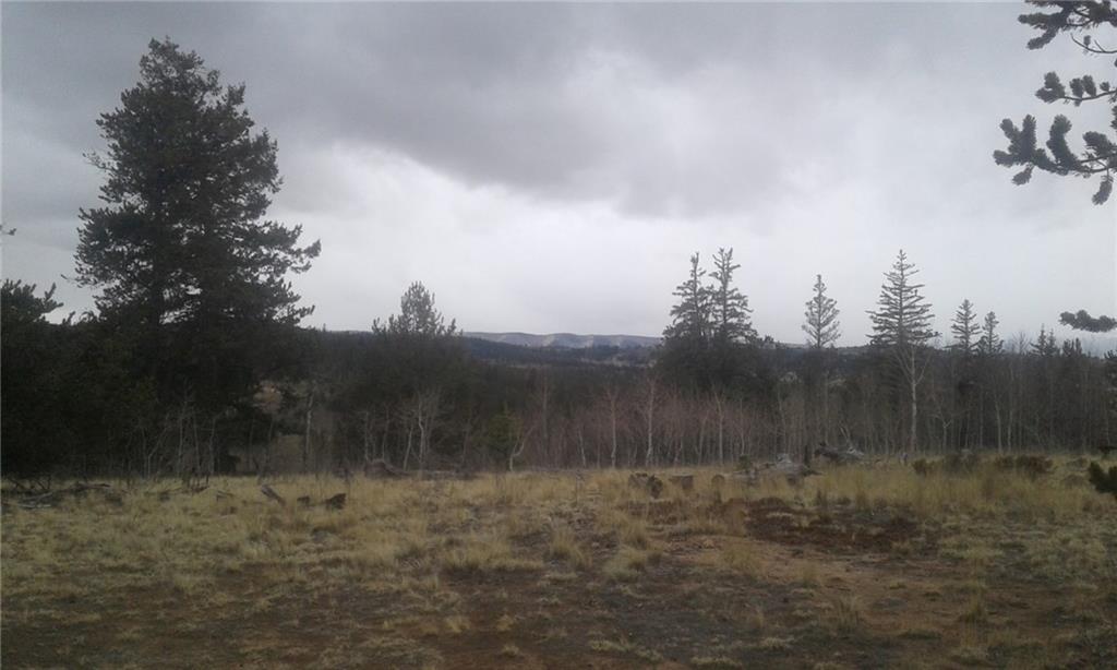 649 Quiver Road Jefferson, CO 80456 - Photo 1 of 5 a view of a yard